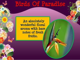 An absolutely
wonderful floral
aroma with base
notes of fresh
fruits.
Birds Of Paradise
 