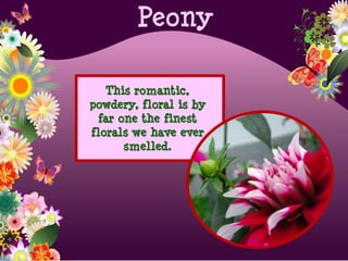 This romantic,
powdery, floral is by
far one the finest
florals we have ever
smelled.
Peony
 