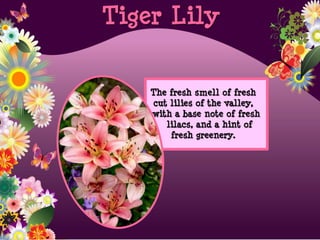 The fresh smell of fresh
cut lilies of the valley,
with a base note of fresh
lilacs, and a hint of
fresh greenery.
Tiger Lily
 