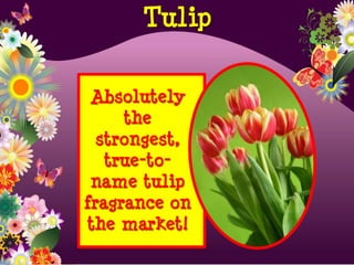 Absolutely
the
strongest,
true-to-
name tulip
fragrance on
the market!
Tulip
 