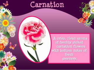 A crisp, clean aroma
of freshly picked
carnation flowers
with bottom notes of
fresh
greenery.
Carnation
 