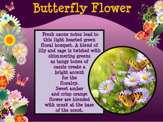 Fresh ozone notes lead to
this light hearted green
floral bouquet. A blend of
lily and sage is twisted with
shimmering greens
as tangy tones of
cassis create a
bright accent
for the
floralcy.
Sweet amber
and crisp orange
flower are blended
with musk at the base
of the scent.
Butterfly Flower
 