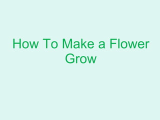 How To Make a Flower Grow 