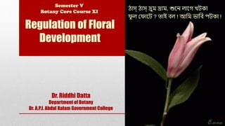 Regulation of Floral
Development
ঠাস্ ঠাস্ দ্রুম দ্রাম, শুনে লানগ খটকা
ফু ল ফফানট ? তাই বল ! আমম ভামব পটকা !
Semester V
Botany Core Course XI
Dr. Riddhi Datta
Department of Botany
Dr. A.P.J. Abdul Kalam Government College
 