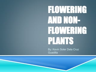 FLOWERING
AND NON-
FLOWERING
PLANTS
By: Kevin Soler Dela Cruz
Guadilla
 