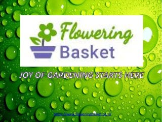 https://www.floweringbasket.com/
 