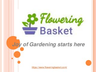 Joy of Gardening starts here
https://www.floweringbasket.com/
 