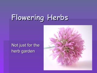 Flowering Herbs Not just for the  herb garden 