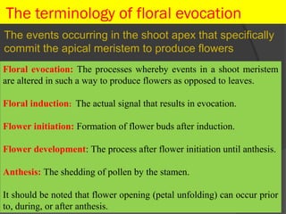 Flowering physiology1 فسيولوجيا الإزهار | PPT