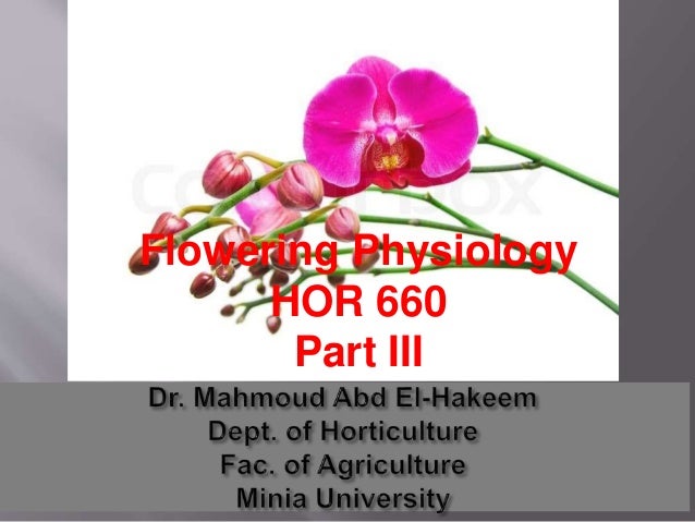 Flowering physiology 3