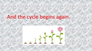 And the cycle begins again.