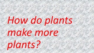 How do plants
make more
plants?