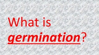 What is
germination?