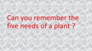 Can you remember the
five needs of a plant ?