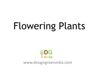 Flowering Plants

www.designgreenindia.com

 