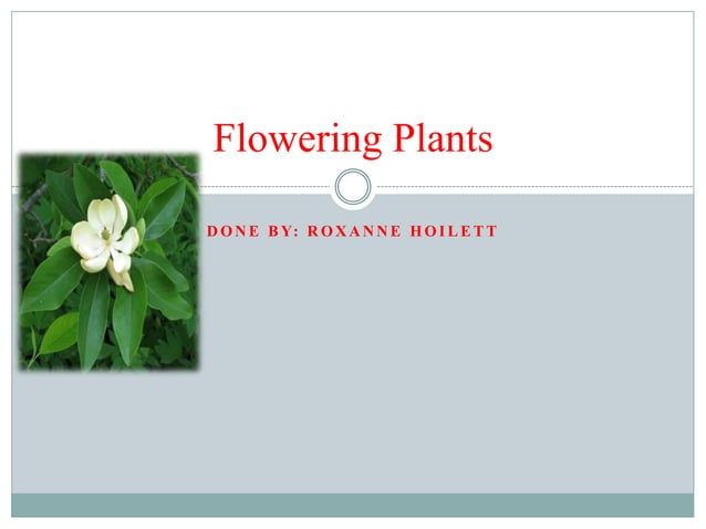 Flowering plants | PPTX