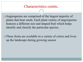 Characteristics contin..
Angiosperms are comprised of the largest majority of
plants that bear seeds. Each plant variety of angiosperms
features a different size and shaped fruit which helps
identify and classify the particular species.
These fruits are available in a variety of colors and liven
up the landscape during growing season
 