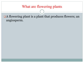 What are flowering plants
A flowering plant is a plant that produces flowers; an
angiosperm.
 