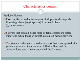 Characteristics contin..
Produce Flowers
Flowers, the reproductive organs of all plants, distinguish
flowering plants (angiosperms) from seed plants
(gymnosperms).
Flowers that contain either male or female parts are called
imperfect, while those with both are called perfect flowers.
The stamen is the male reproductive part that is comprised of a
yellow anther that features a sac full of pollen, and the
delicate, long stem it rests on, called the filament.
 