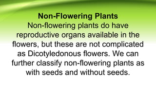 Non-Flowering Plants
Non-flowering plants do have
reproductive organs available in the
flowers, but these are not complicated
as Dicotyledonous flowers. We can
further classify non-flowering plants as
with seeds and without seeds.
 