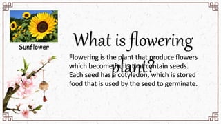 Flowering Plants.pptx