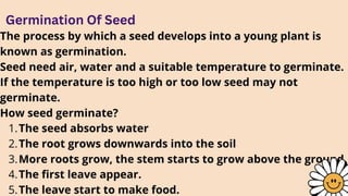 Flowering Plants SCIENCE GRADE 5 class unit1 | PPTX