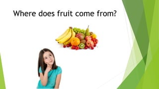 Where does fruit come from?
 