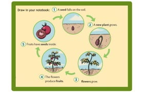 Draw in your notebook:
 