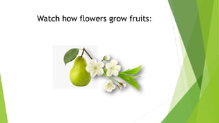 Watch how flowers grow fruits:
 