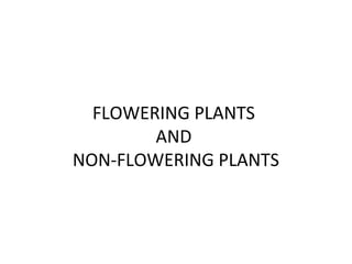 FLOWERING PLANTS
AND
NON-FLOWERING PLANTS
 