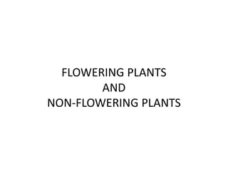 FLOWERING PLANTS
AND
NON-FLOWERING PLANTS
 