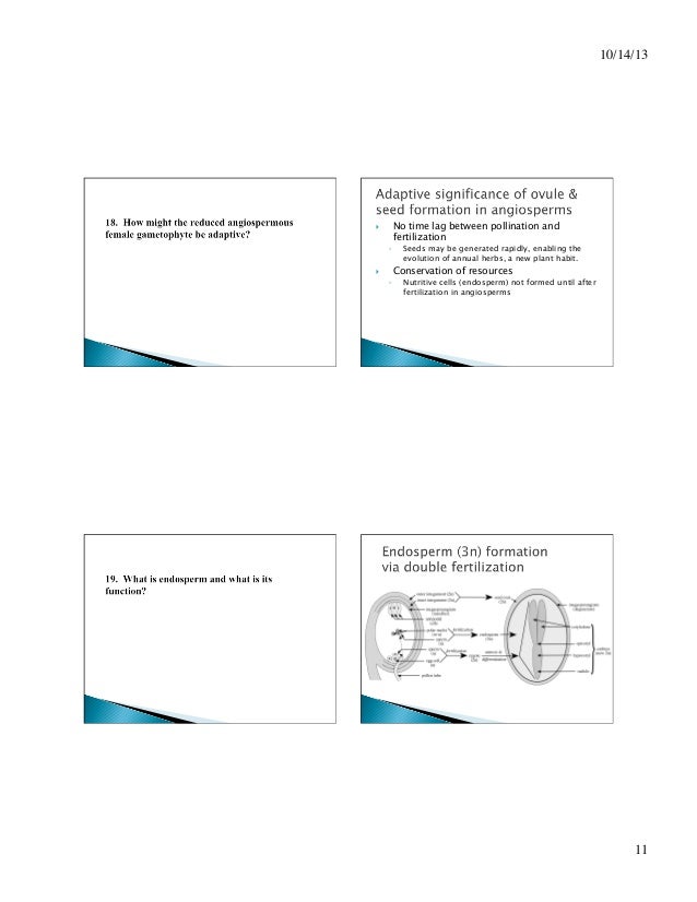 Flowering plants bio.ppt Flowering plants bio.ppt