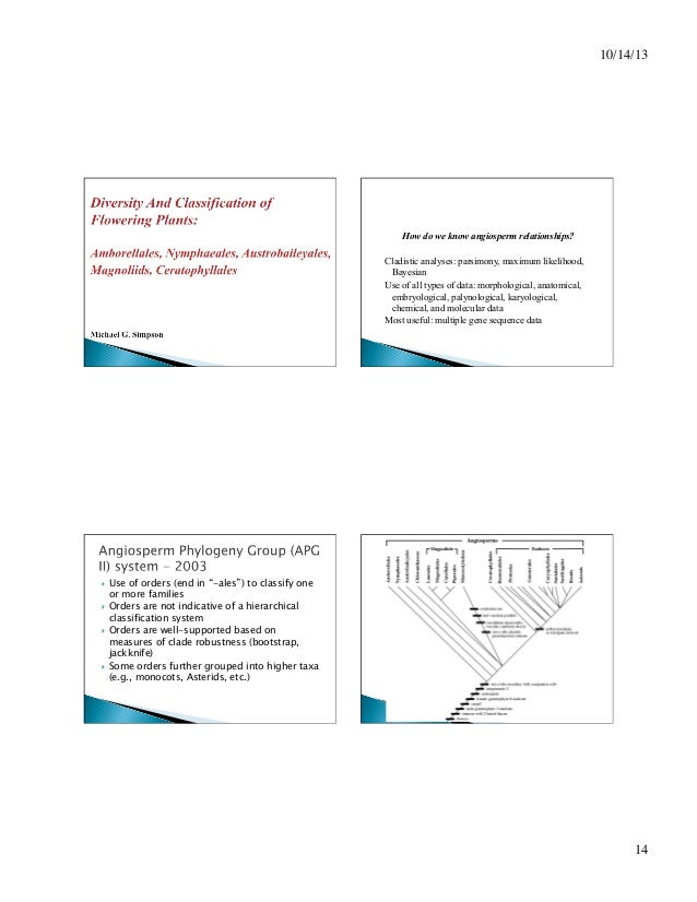 Flowering plants bio.ppt