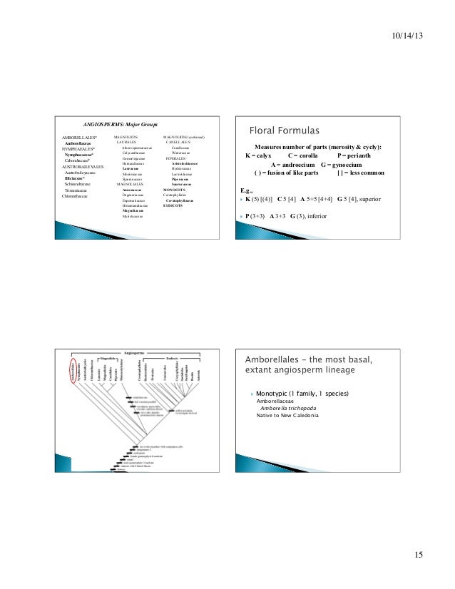 Flowering plants bio.ppt