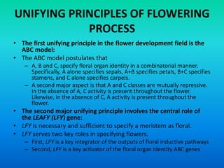 UNIFYING PRINCIPLES OF FLOWERING
PROCESS
• The first unifying principle in the flower development field is the
ABC model:
• The ABC model postulates that
– A, B and C, specify floral organ identity in a combinatorial manner.
Specifically, A alone specifies sepals, A+B specifies petals, B+C specifies
stamens, and C alone specifies carpels.
– A second major aspect is that A and C classes are mutually repressive.
In the absence of A, C activity is present throughout the flower.
Likewise, in the absence of C, A activity is present throughout the
flower.
• The second major unifying principle involves the central role of
the LEAFY (LFY) gene:
• LFY is necessary and sufficient to specify a meristem as floral.
• LFY serves two key roles in specifying flowers.
– First, LFY is a key integrator of the outputs of floral inductive pathways
– Second, LFY is a key activator of the floral organ identity ABC genes
 