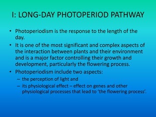 I: LONG-DAY PHOTOPERIOD PATHWAY
• Photoperiodism is the response to the length of the
day.
• It is one of the most significant and complex aspects of
the interaction between plants and their environment
and is a major factor controlling their growth and
development, particularly the flowering process.
• Photoperiodism include two aspects:
– the perception of light and
– its physiological effect – effect on genes and other
physiological processes that lead to ‘the flowering process’.
 