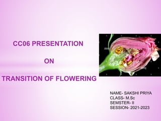 CC06 PRESENTATION
ON
TRANSITION OF FLOWERING
NAME- SAKSHI PRIYA
CLASS- M.Sc
SEMSTER- II
SESSION- 2021-2023
 