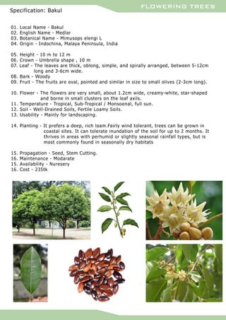 Flowering trees | PDF