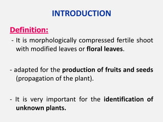 Definition:
- It is morphologically compressed fertile shoot
with modified leaves or floral leaves.
- adapted for the production of fruits and seeds
(propagation of the plant).
- It is very important for the identification of
unknown plants.
INTRODUCTION
 