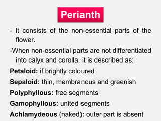 - It consists of the non-essential parts of the
flower.
-When non-essential parts are not differentiated
into calyx and corolla, it is described as:
Petaloid: if brightly coloured
Sepaloid: thin, membranous and greenish
Polyphyllous: free segments
Gamophyllous: united segments
Achlamydeous (naked): outer part is absent
Perianth
 