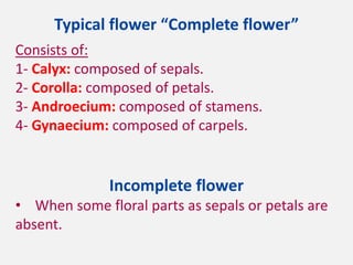 Typical flower “Complete flower”
Consists of:
1- Calyx: composed of sepals.
2- Corolla: composed of petals.
3- Androecium: composed of stamens.
4- Gynaecium: composed of carpels.
Incomplete flower
• When some floral parts as sepals or petals are
absent.
 