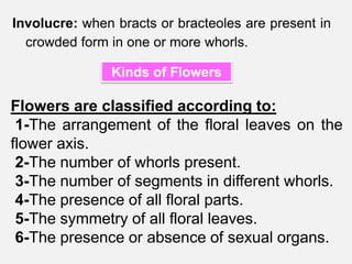 Involucre: when bracts or bracteoles are present in
crowded form in one or more whorls.
Kinds of Flowers
Flowers are classified according to:
1-The arrangement of the floral leaves on the
flower axis.
2-The number of whorls present.
3-The number of segments in different whorls.
4-The presence of all floral parts.
5-The symmetry of all floral leaves.
6-The presence or absence of sexual organs.
 