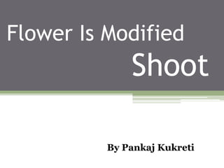 Flower Is Modified
Shoot
By Pankaj Kukreti
 