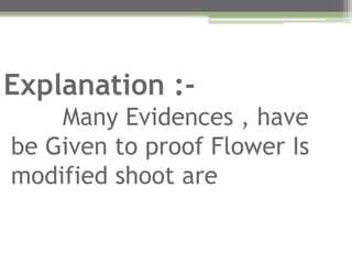 Explanation :-
Many Evidences , have
be Given to proof Flower Is
modified shoot are
 