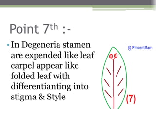Point 7th :-
•In Degeneria stamen
are expended like leaf ,
carpel appear like
folded leaf with
differentianting into
stigma & Style
 