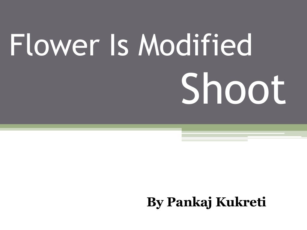 Flower is modified Shoot