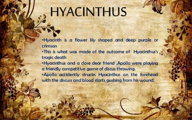 Greek Flower Myths