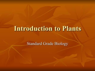 Introduction to Plants Standard Grade Biology 