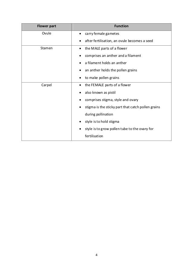 Flower parts and its functions