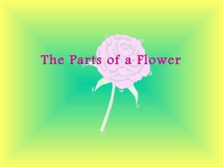 The Parts of a Flower
 